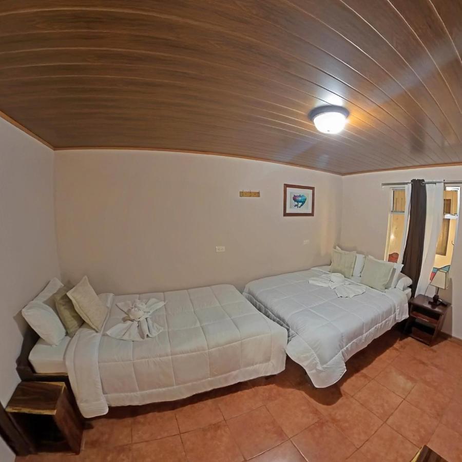 Casa Jungle Monteverde B&B Dış mekan fotoğraf