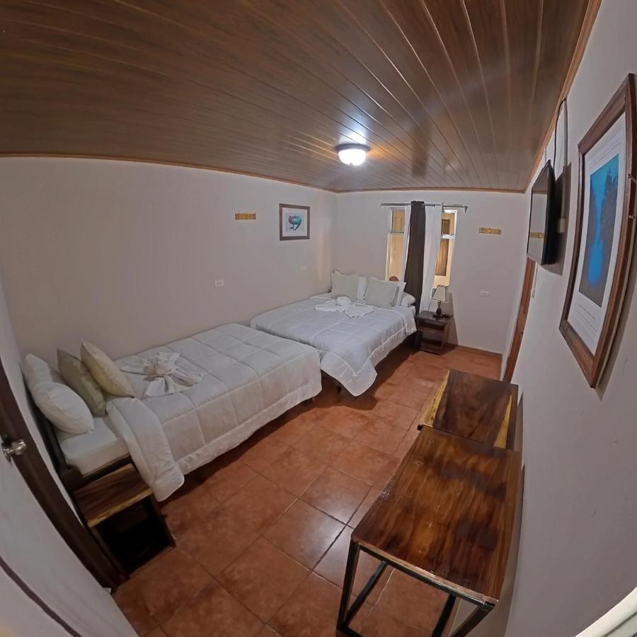 Casa Jungle Monteverde B&B Dış mekan fotoğraf