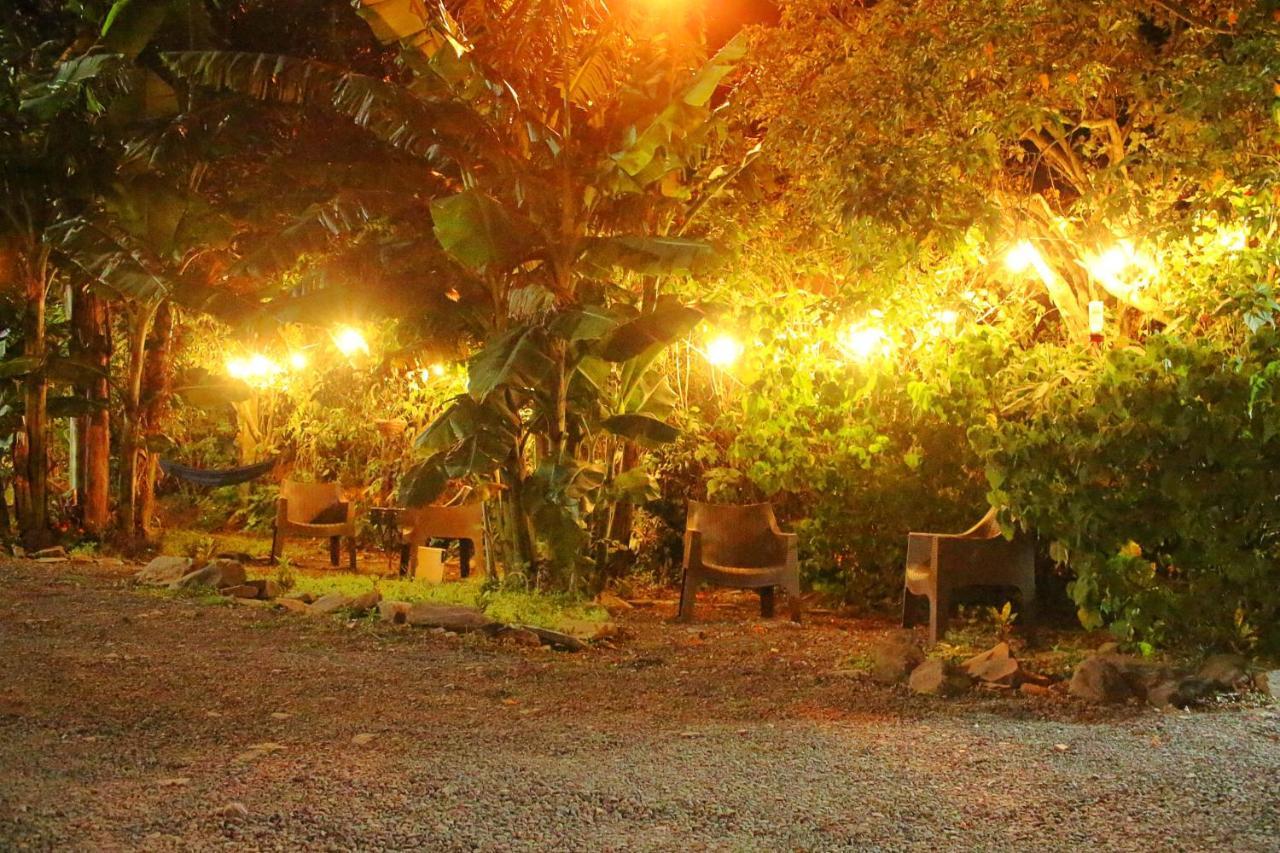 Casa Jungle Monteverde B&B Dış mekan fotoğraf