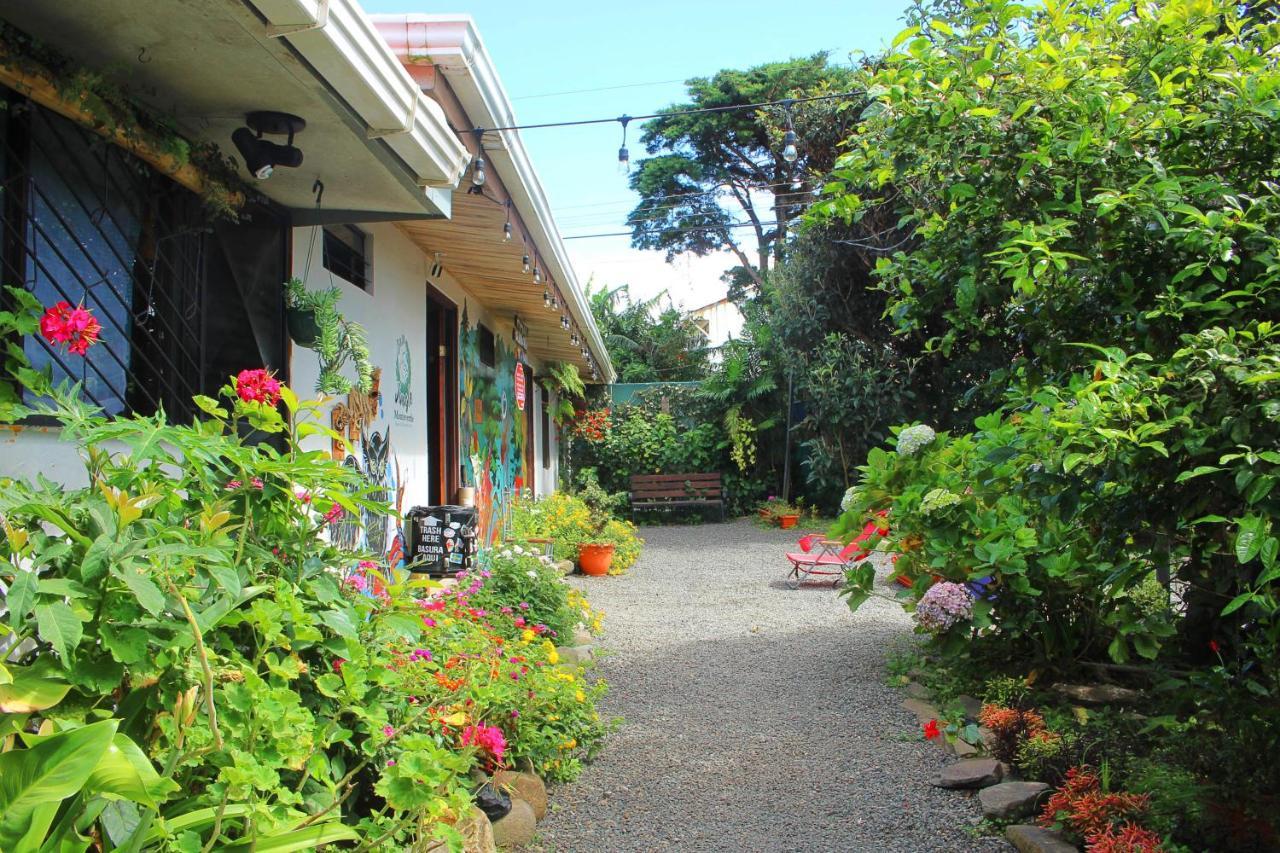 Casa Jungle Monteverde B&B Dış mekan fotoğraf