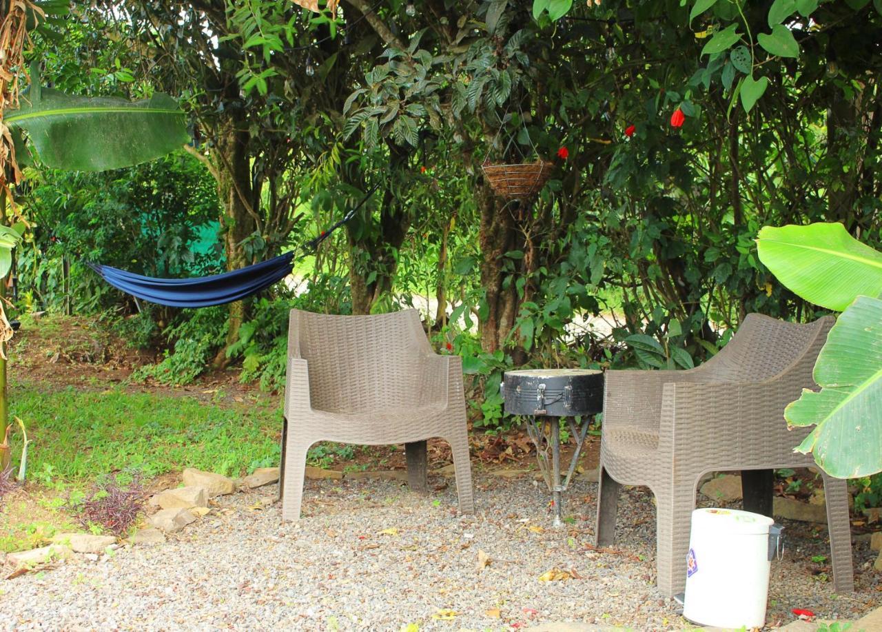 Casa Jungle Monteverde B&B Dış mekan fotoğraf