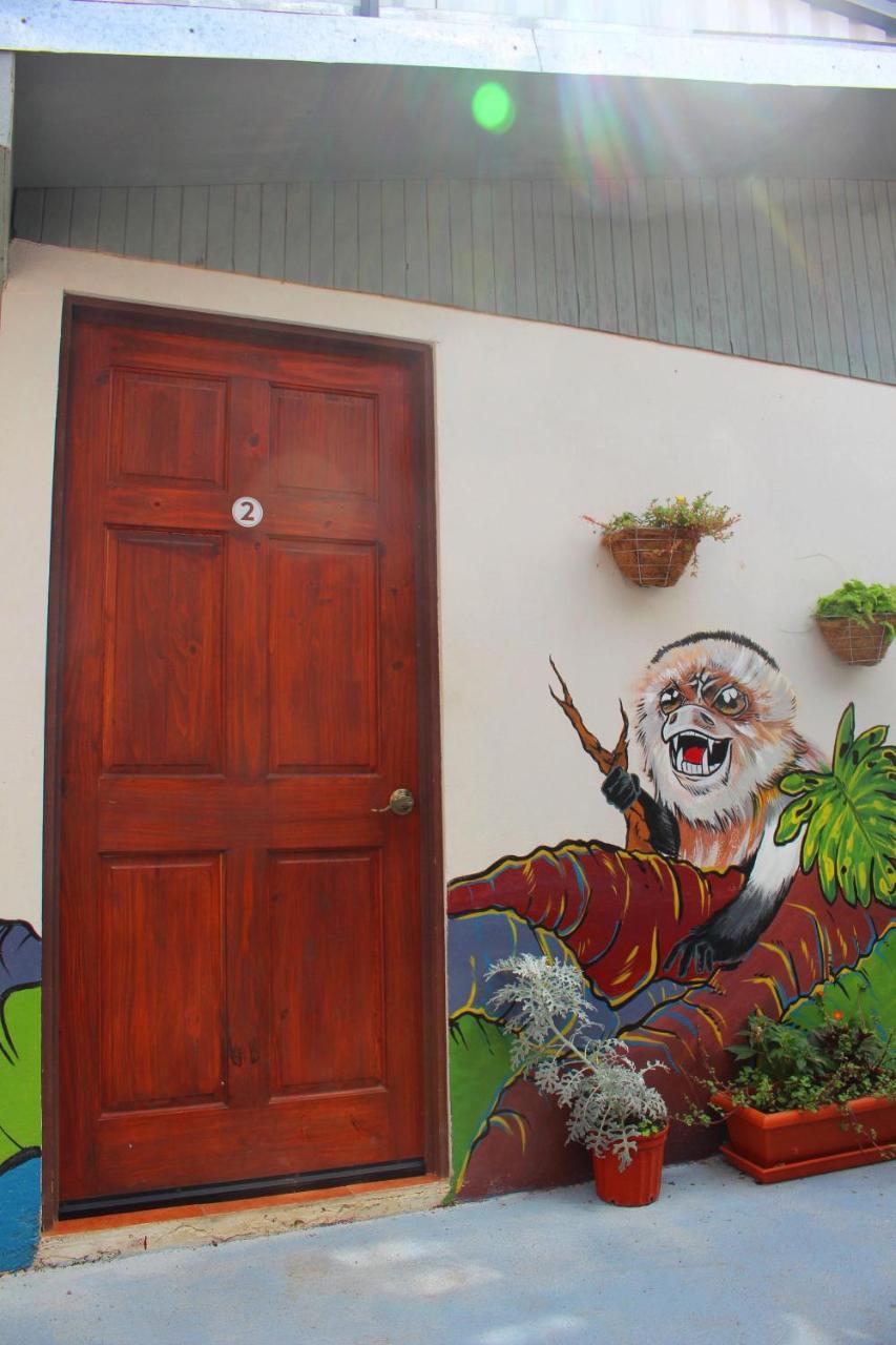 Casa Jungle Monteverde B&B Dış mekan fotoğraf